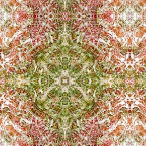 "Avalon Spring"