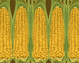 Corn_stripe_vert_thumb