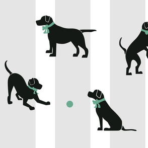 Lab Playing Green