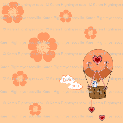 hotair balloon