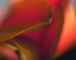 R3_edited-1_thumb