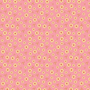pink_duck...