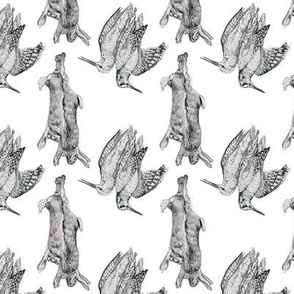 Rabbits and Woodcocks