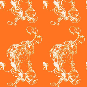 Celine in Orange