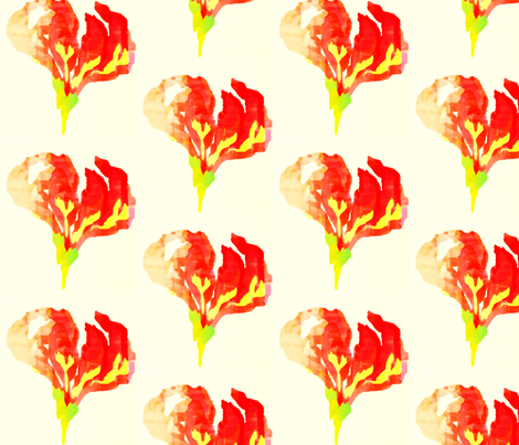 Flame Lily