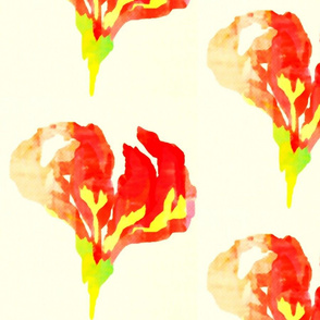 Flame Lily