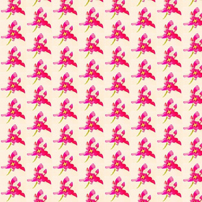 Pink Perfection