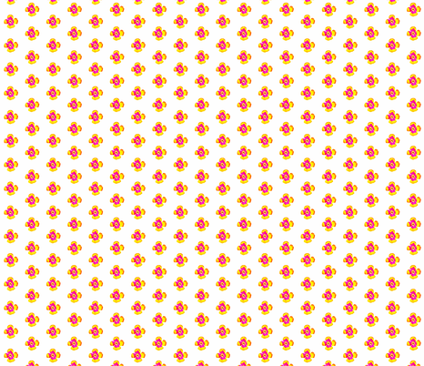Livingston Daisy