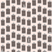window cats - pink_stucco