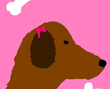 Rrkjdoggie2_thumb