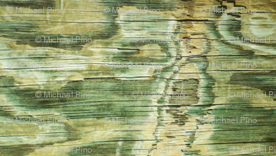 Wood Grain