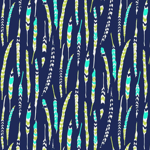 striped feathers