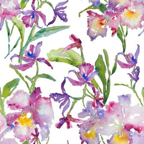 Orchids_P...