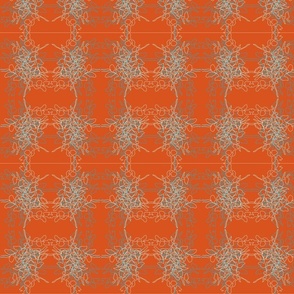 Orange Plant