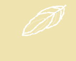 Capillaryofwinter_thumb