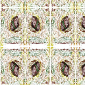 Cocoon