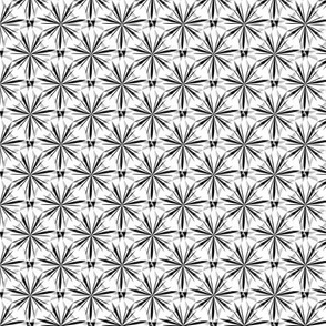 Twinkles - Black and White - Small