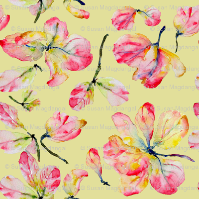 Pink Shower Blossoms, Yellow Background