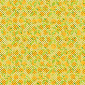 Orange-Lemon
