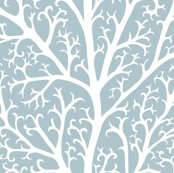 Rwinter_branches
