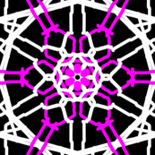 Celestial Lace