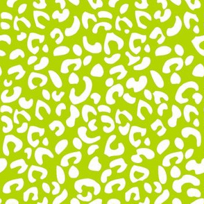 Cheetah Print Kiwi