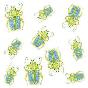 Beetle Scatter