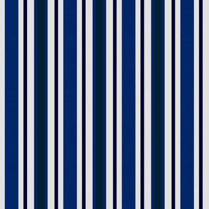 Country Prim Stripes in Navy