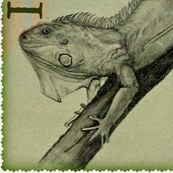 Iguana-Monkeyed