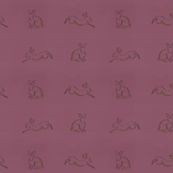 rabbit