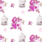 Rose Cage