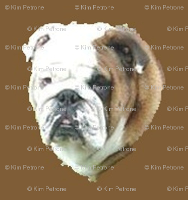 Bruno_222