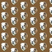 Rbruno_222_shop_thumb