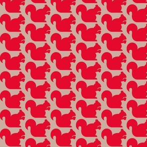 RED SQUIRRELS