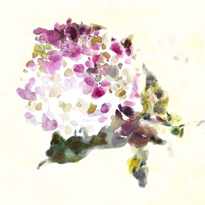 cestlaviv_hydrangea30r test