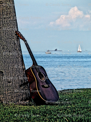 Guitar #1 60L-150 curtain
