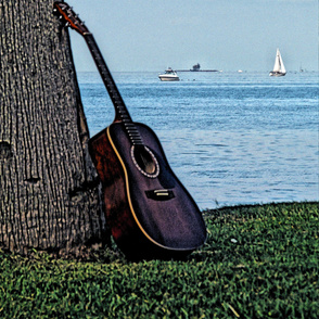 Guitar #1 60L-150 curtain