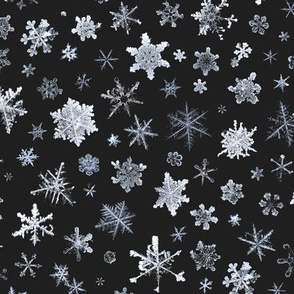 photographic snowflakes on charcoal