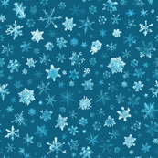 photographic snowflakes on cyan