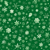photographic snowflakes on green