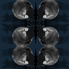 Raven Moon