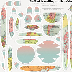 Ruffled travelling turtle taking a rest