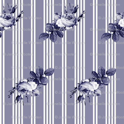 Pioneer Stripe