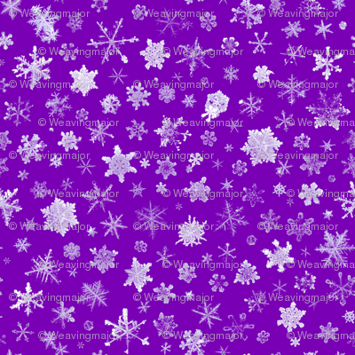 photographic snowflakes on purple