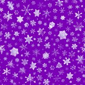 Rsnowflakes5purple_shop_thumb