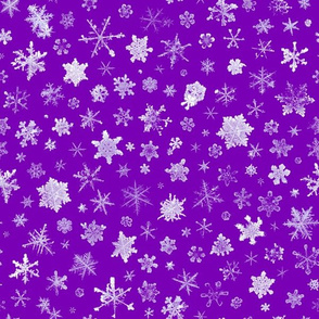photographic snowflakes on purple