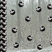 Birds in the Woods (Winter)
