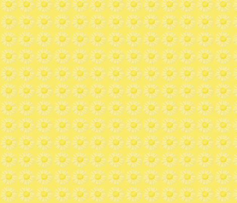 oopsie-daisy coordinate