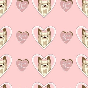 yorkie-love