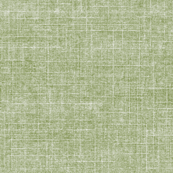 mesh in green